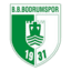 Bodrum FK